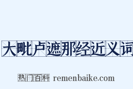 大毗卢遮那经近义词是什么意思的图片